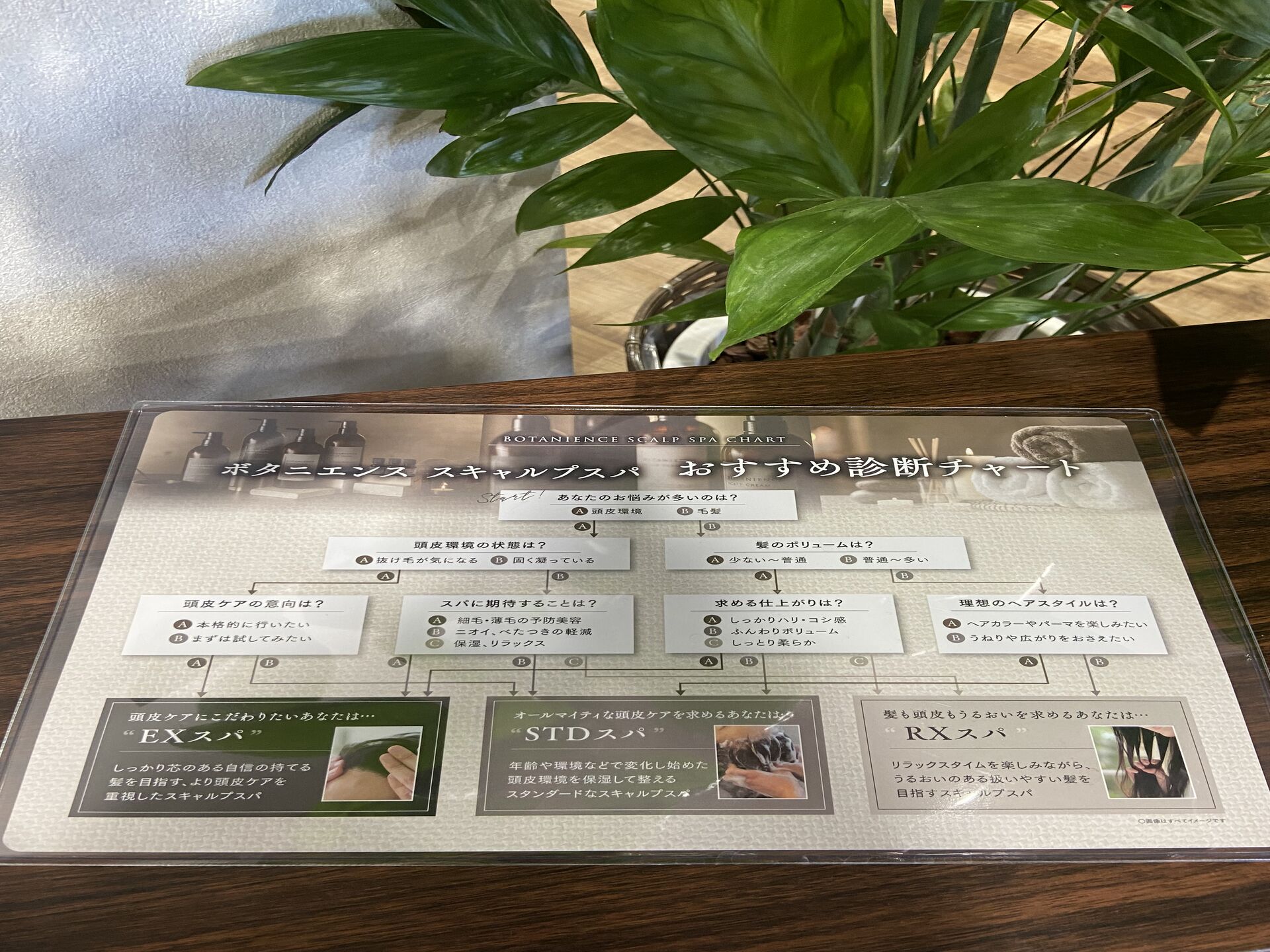 その日の気分に合わせて選べる、癒しのスキャルプスパ